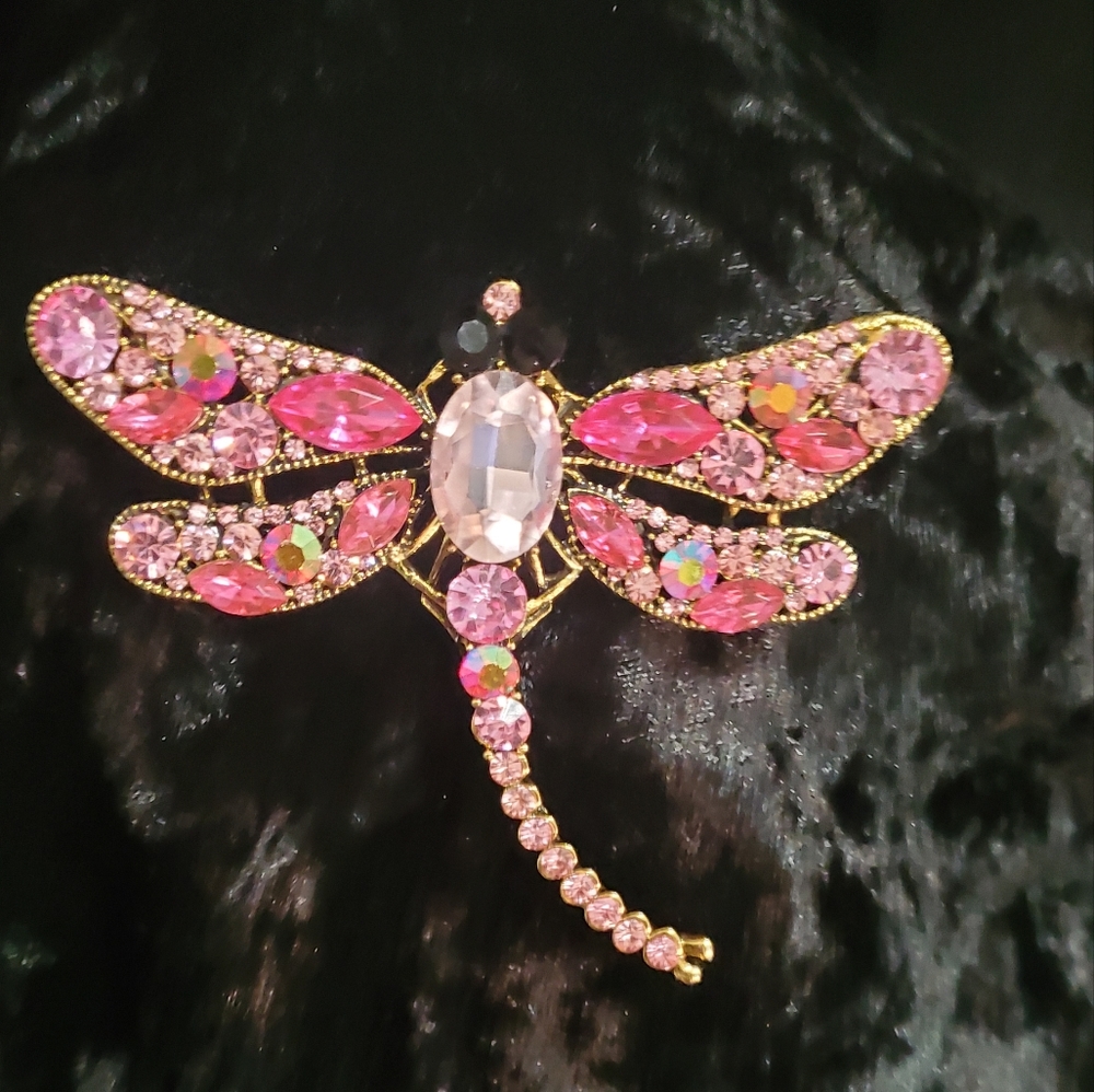 COPY - Beautiful dragonfly signed Moselle